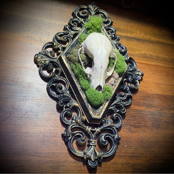 Raccoon Skull Moss Victorian Style Frame Decoration - Picture 3 of 13